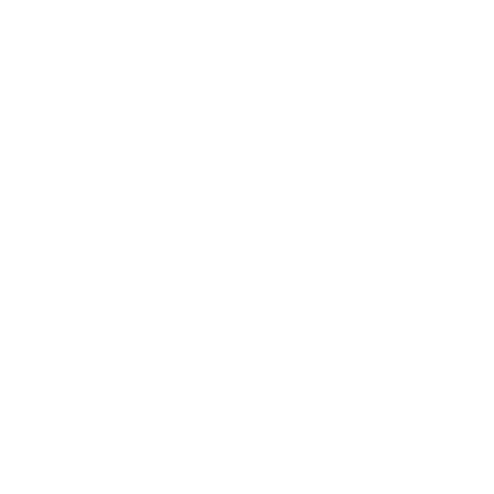 BYD logo