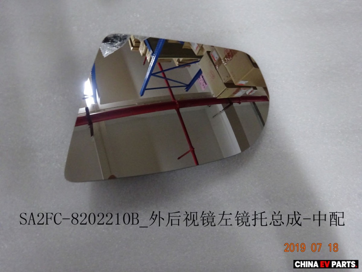 BYD ATTO 3 Side Door Mirror Assembly LH 12561442-00