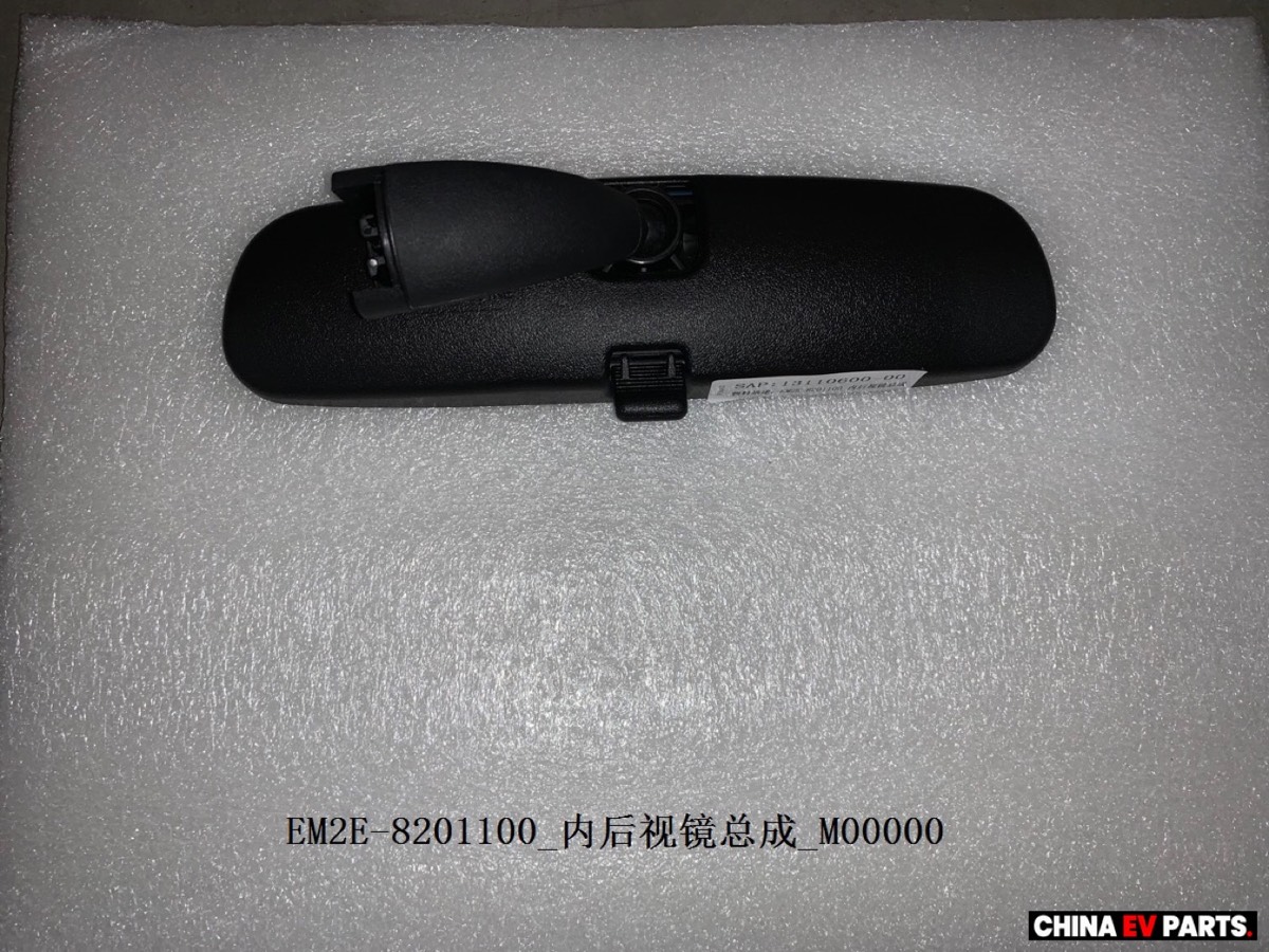 BYD Seagull / Dolphin Surf Side Door Mirror Assembly 13110600-00