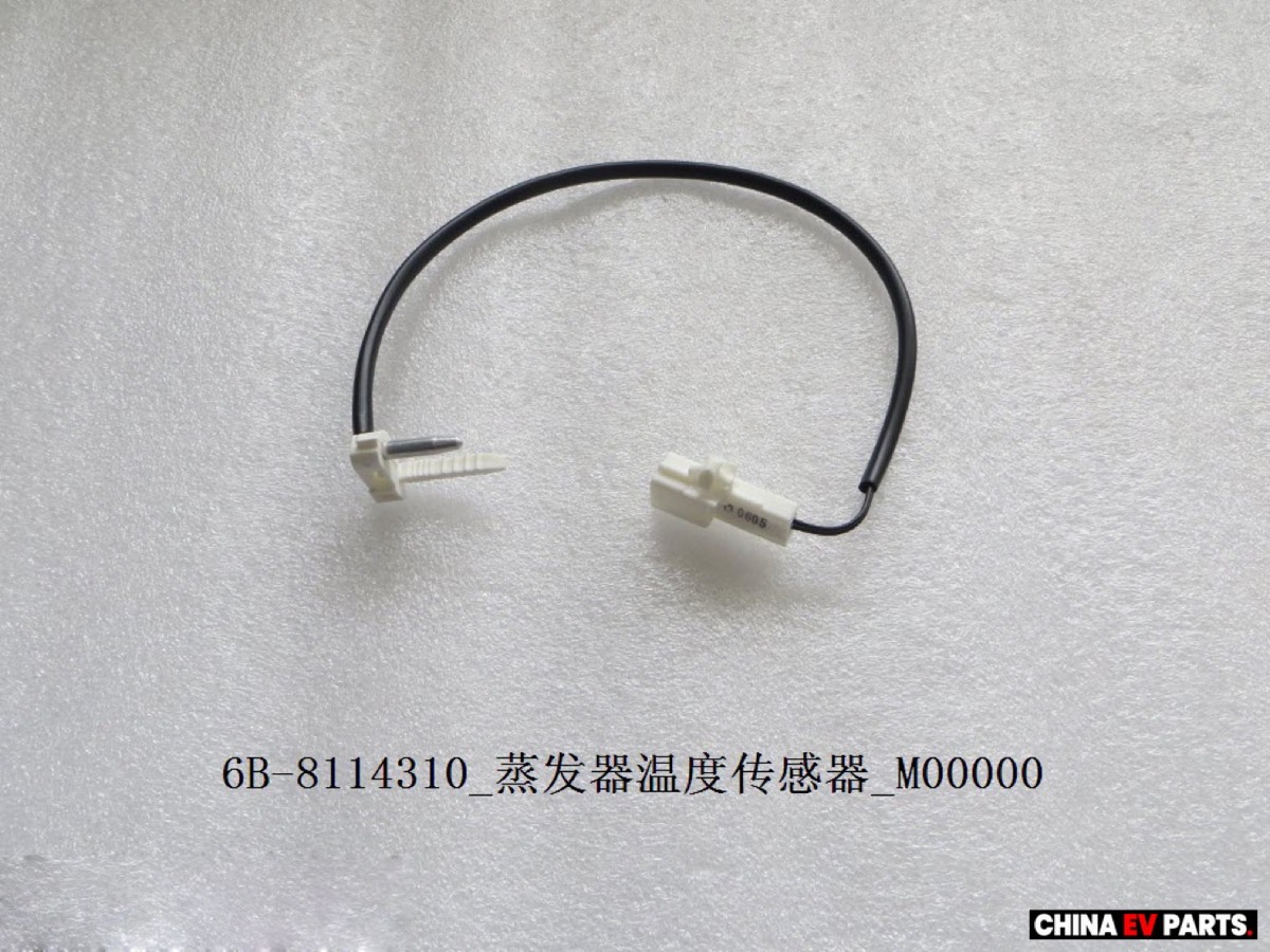 BYD Seal 06 DM-i AC Evaporator 10895109-00